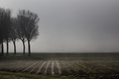 Countryside